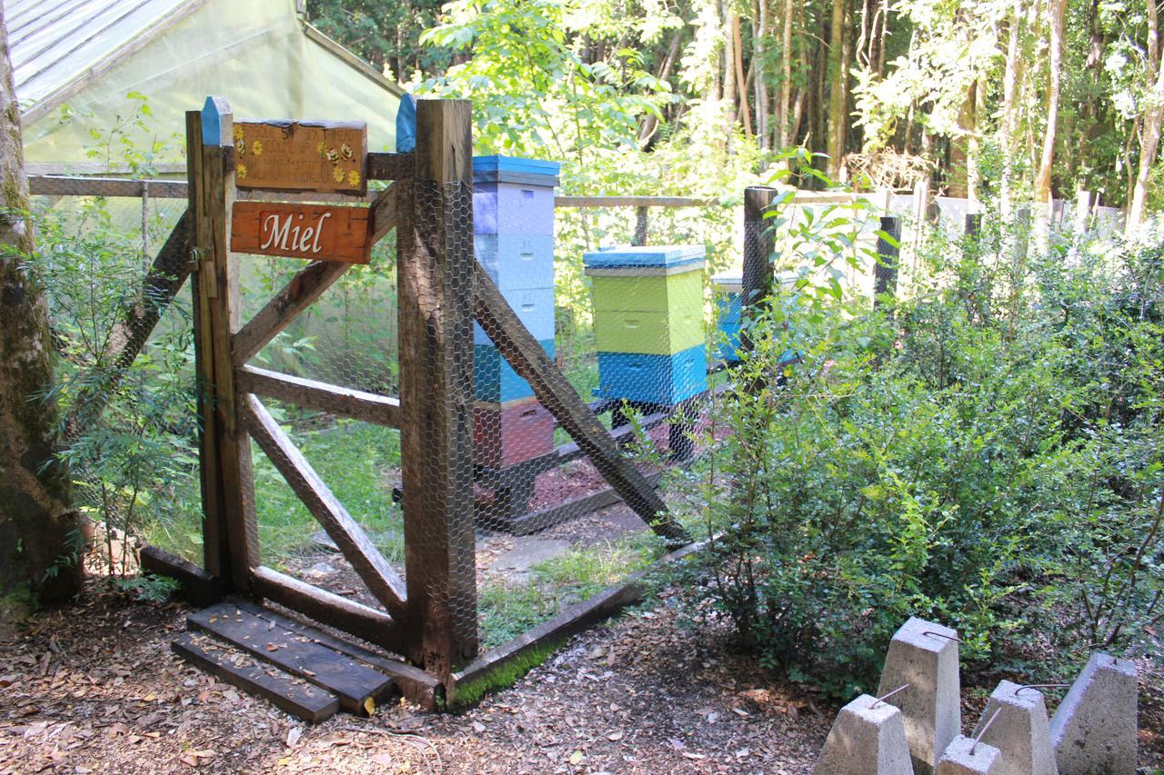 Cabana Rustica Patagonia Chilena Коньяріпе Екстер'єр фото